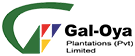 RAC Asia Partners